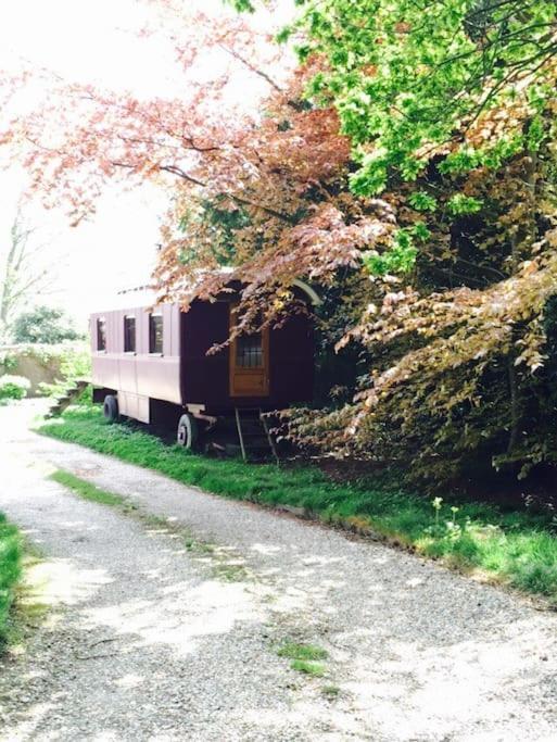 Luxurious 1930S Showman'S Wagon Heathfield Exteriér fotografie